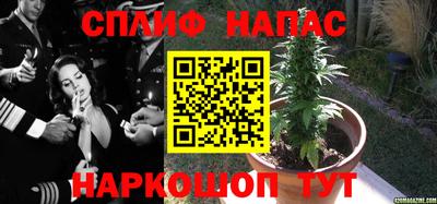 кокс Пугачёв