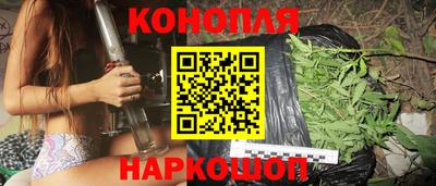 крисы Пыть-Ях