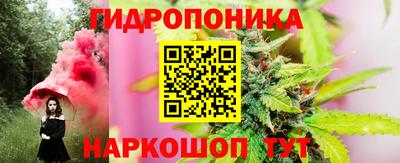 крисы Пыть-Ях