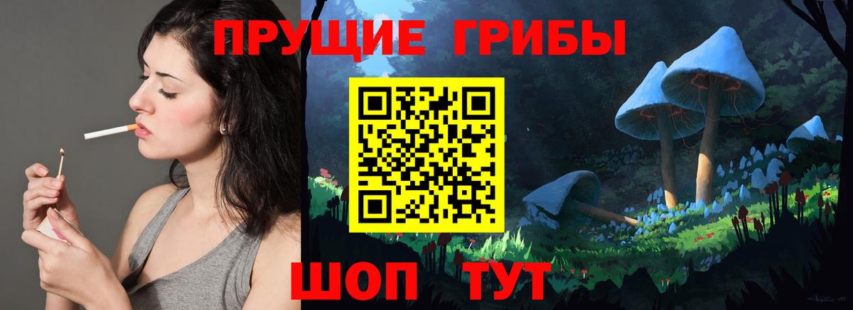 Галлюциногенные грибы прущие грибы  Псилоцибиновые грибы мицелий  Сергиев Посад  Вход с VPN 