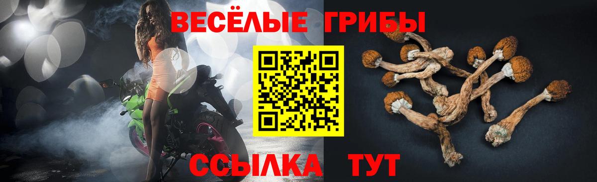 Псилоцибиновые грибы Psilocybe Сергиев Посад